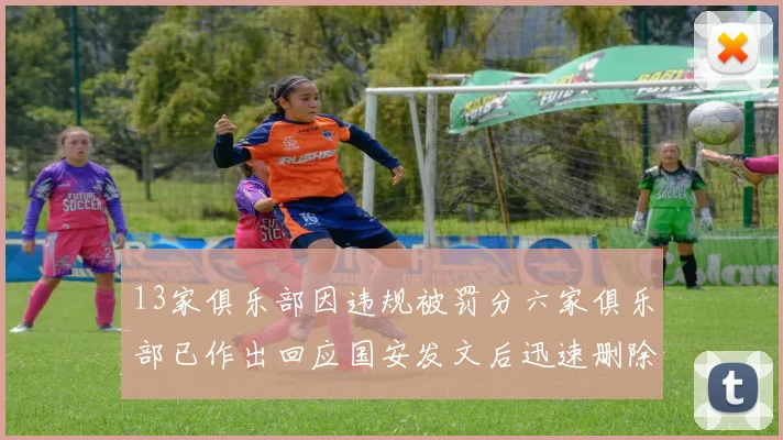 13家俱乐部因违规被罚分六家俱乐部已作出回应国安发文后迅速删除引发关注
