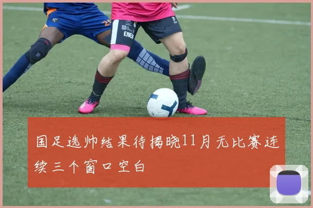 国足选帅结果待揭晓11月无比赛连续三个窗口空白
